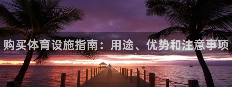 意昂集团官网：购买体育设施指南：用途、优势和注意事项