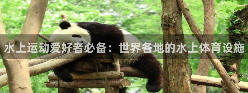 意昂体育3招商电话号码查询是多少：水上运动爱好者必备