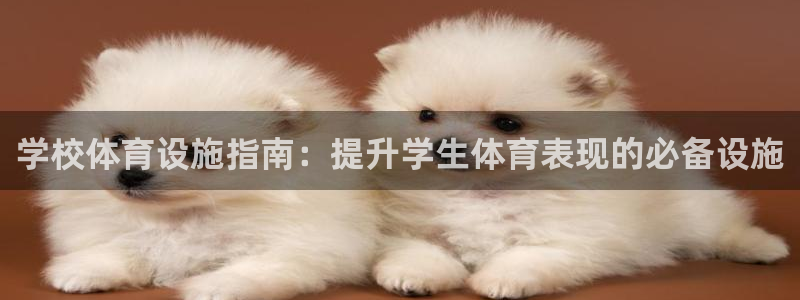 意昂体育3招商电话号码查询是多少：学校体育设施指南：