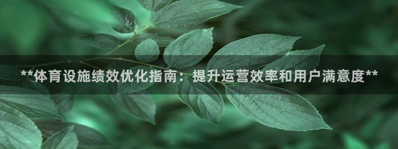意昂3神州：**体育设施绩效优化指南：提升运营效率和