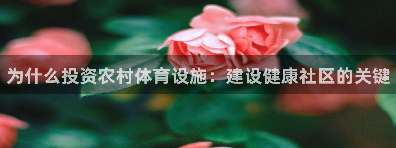 意昂3代理：为什么投资农村体育设施：建设健康社区的关