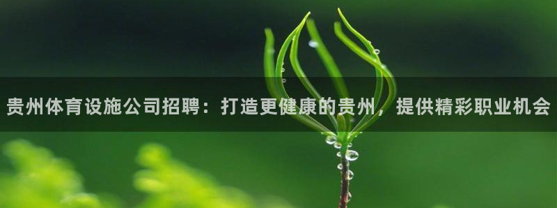 意昂3娱乐首页官网下载：贵州体育设施公司招聘：打造更