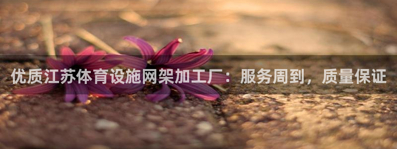 意昂3新能源：优质江苏体育设施网架加工厂：服务周到，