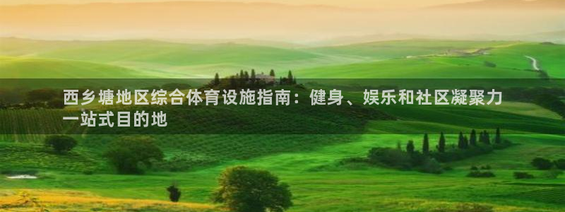 意昂体育3官方客服电话：西乡塘地区综合体育设施指南：