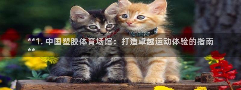 意昂3娱乐平台：**1. 中国塑胶体育场馆：打造卓越