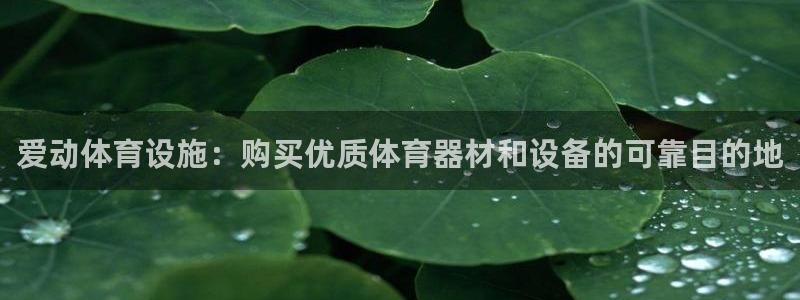 意昂集团官网：爱动体育设施：购买优质体育器材和设备的