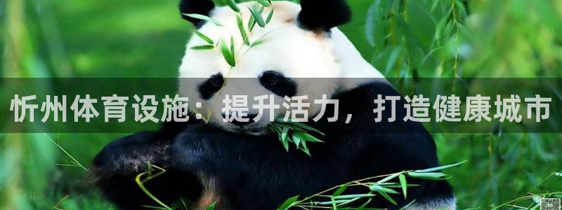 意昂体育3招商电话地址查询：忻州体育设施：提升活力，