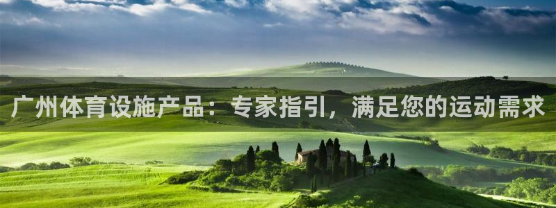 意昂体育3娱乐：广州体育设施产品：专家指引，满足您的