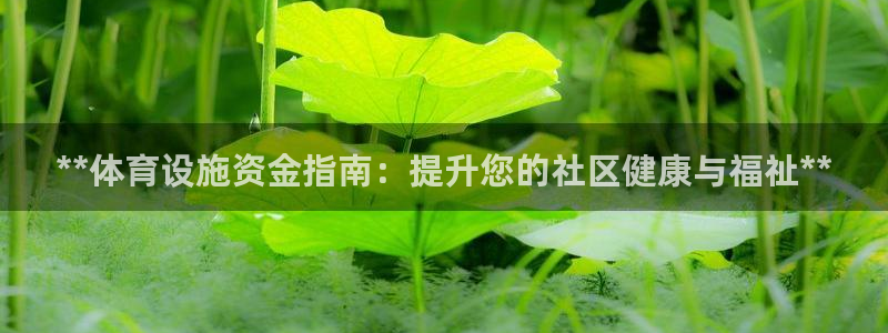 意昂体育3平台注册：**体育设施资金指南：提升您的社