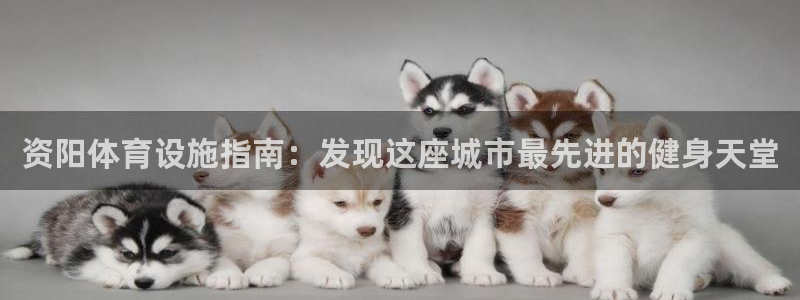 意昂体育3平台注册要钱吗：资阳体育设施指南：发现这座