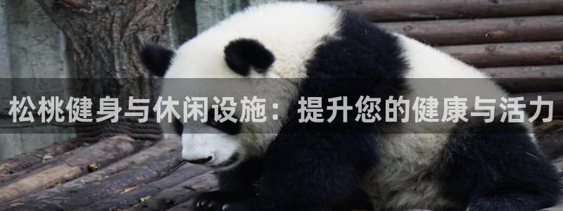 意昂3娱乐网站：松桃健身与休闲设施：提升您的健康与活