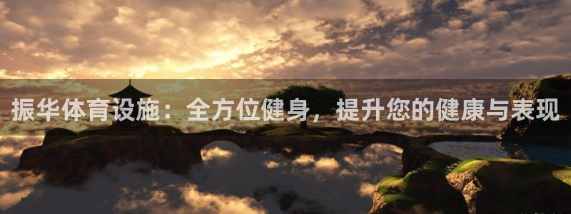 意昂3新能源：振华体育设施：全方位健身，提升您的健康