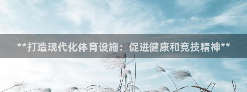 意昂3娱乐平台：**打造现代化体育设施：促进健康和竞