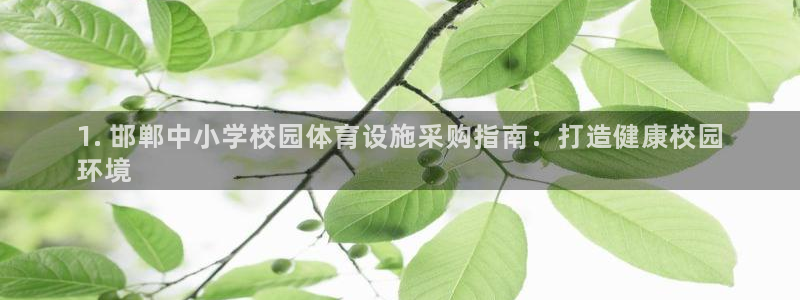 意昂3娱乐网站：1. 邯郸中小学校园体育设施采购指南