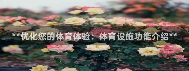 意昂体育3联系电话：**优化您的体育体验：体育设施功