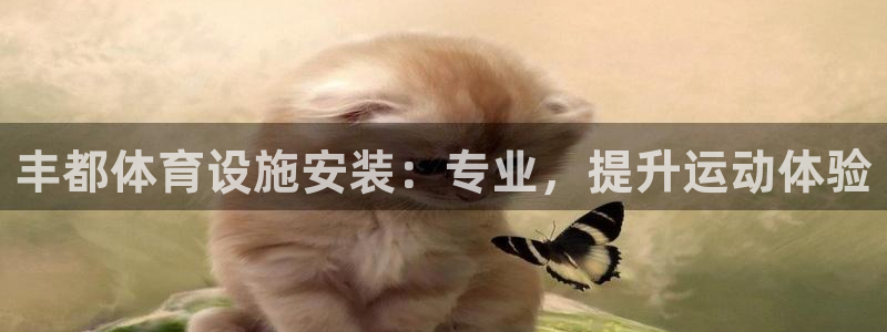 意昂体育3注册：丰都体育设施安装：专业，提升运动体验