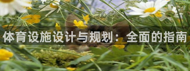意昂3集团简介：体育设施设计与规划：全面的指南