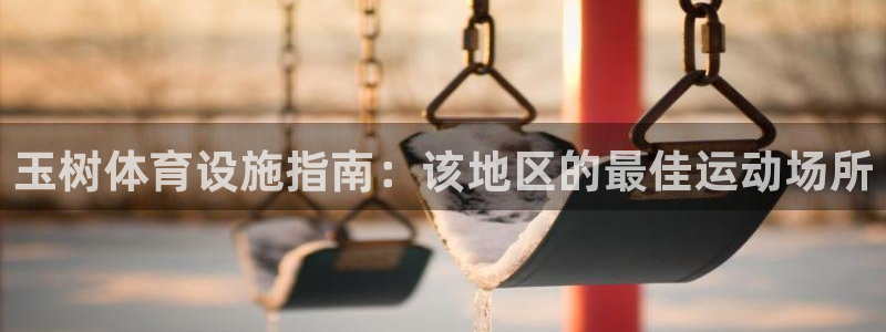 意昂体育3招商电话地址查询：玉树体育设施指南：该地区