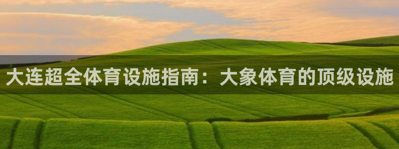 意昂体育3平台注册要钱吗：大连超全体育设施指南：大象