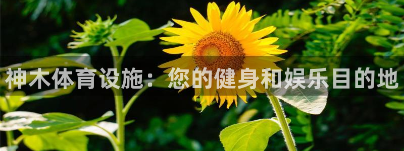意昂体育3招商电话号码查询是多少：神木体育设施：您的