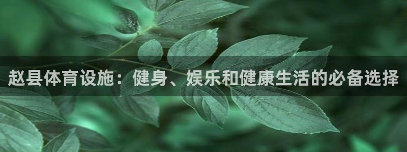 意昂体育3招商电话是多少：赵县体育设施：健身、娱乐和