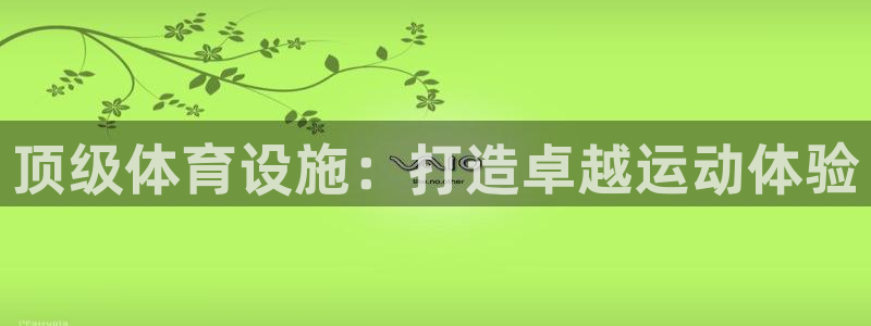 意昂体育3平台注册流程图：顶级体育设施：打造卓越运动
