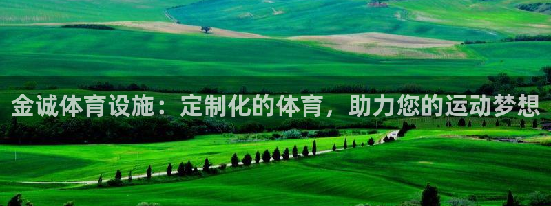 意昂体育3招商电话是多少啊：金诚体育设施：定制化的体
