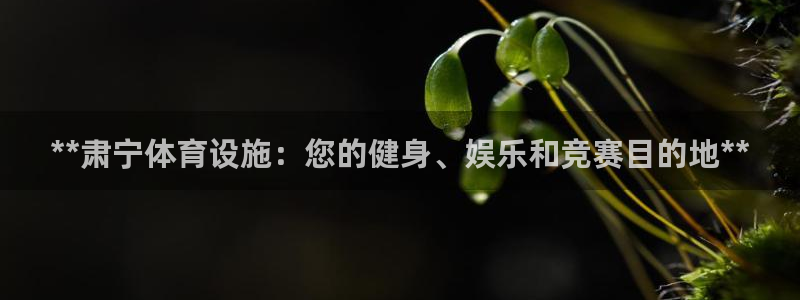 意昂体育3招商电话号码是多少：**肃宁体育设施：您的