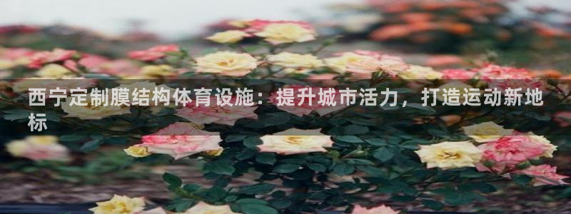 意昂3五金厂：西宁定制膜结构体育设施：提升城市活力，