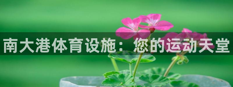 意昂体育3平台假的吗是真的吗：南大港体育设施：您的运
