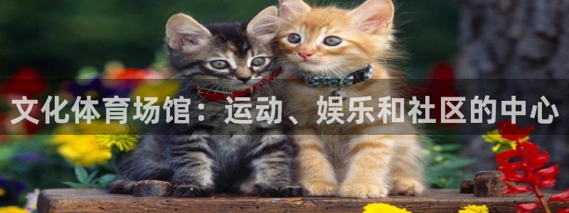 意昂体育3开户：文化体育场馆：运动、娱乐和社区的中心