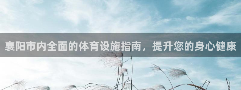 意昂3娱乐是那个系列的台子：襄阳市内全面的体育设施指