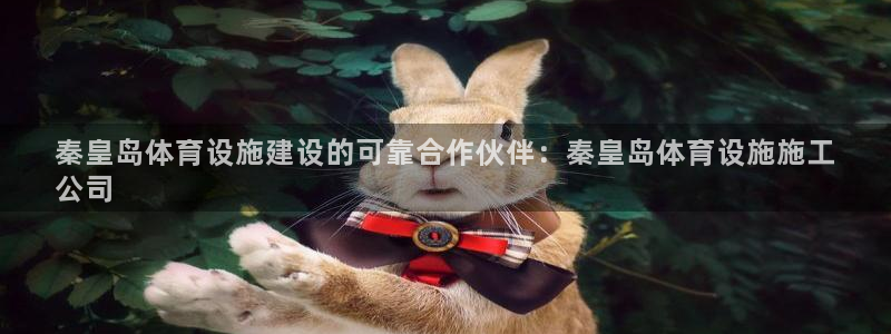 意昂3科技：秦皇岛体育设施建设的可靠合作伙伴：秦皇岛