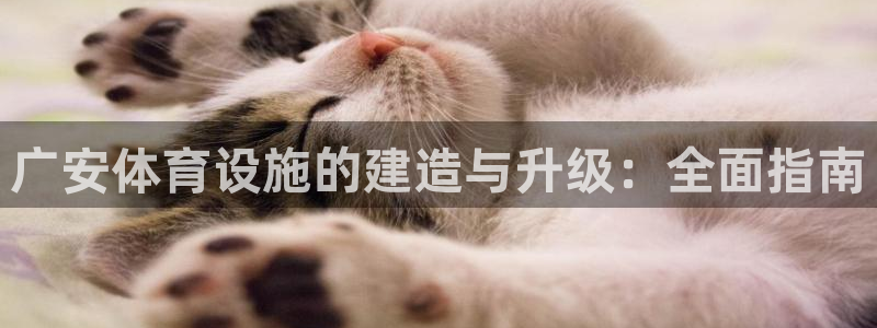 意昂体育3平台注册要钱吗安全吗：广安体育设施的建造与
