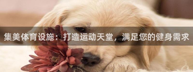 意昂体育3是干嘛的公司