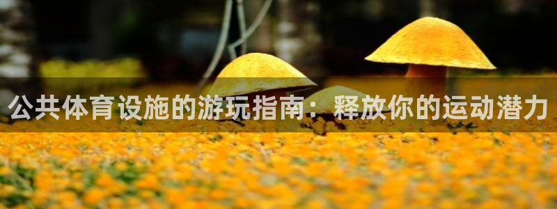 意昂体育3软件：公共体育设施的游玩指南：释放你的运动