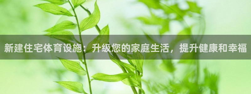 意昂3官网：新建住宅体育设施：升级您的家庭生活，提升