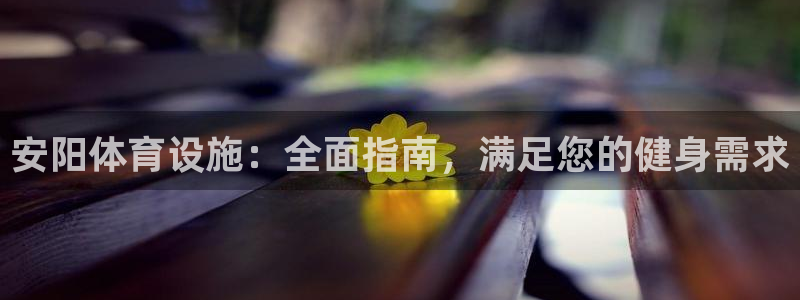 意昂3科技：安阳体育设施：全面指南，满足您的健身需求