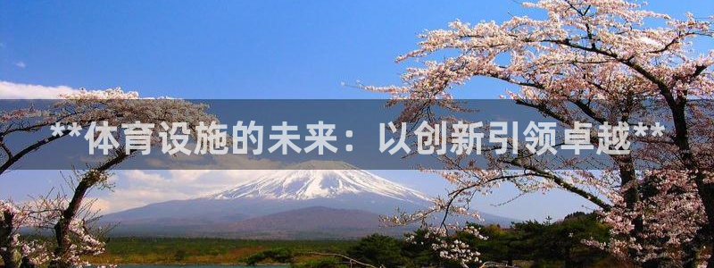意昂体育3招商电话号码是多少：**体育设施的未来：以