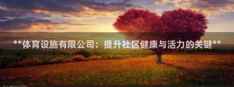 海南意昂体育3：**体育设施有限公司：提升社区健康与
