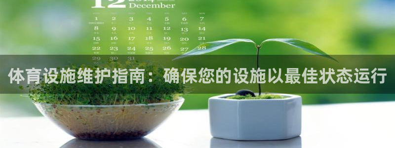 意昂体育3是干嘛的公司：体育设施维护指南：确保您的设