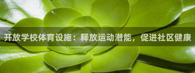 意昂3集团官网首页网址：开放学校体育设施：释放运动潜