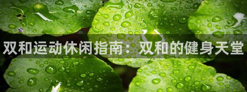 意昂体育3平台：双和运动休闲指南：双和的健身天堂