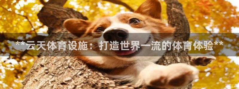 意昂体育3招商电话地址：**云天体育设施：打造世界一