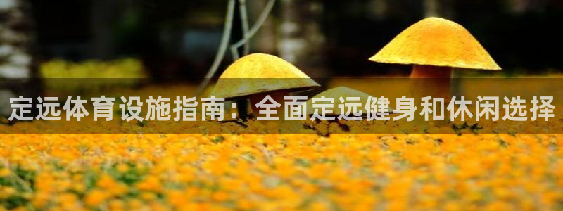 意昂3集团简介：定远体育设施指南：全面定远健身和休闲