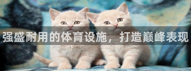 意昂体育3平台假的吗是真的吗吗：强盛耐用的体育设施，