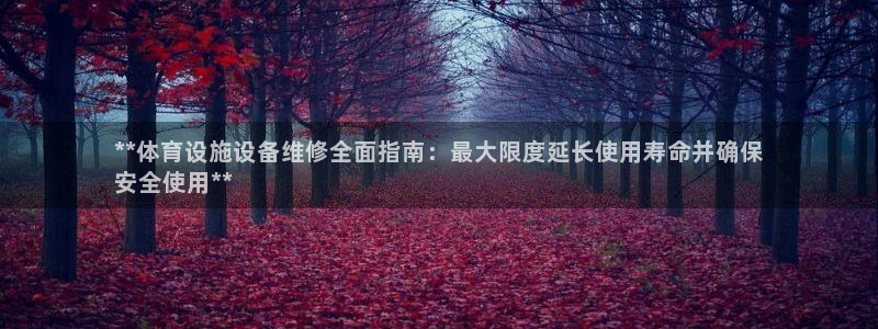 意昂3集团官网网址：**体育设施设备维修全面指南：最