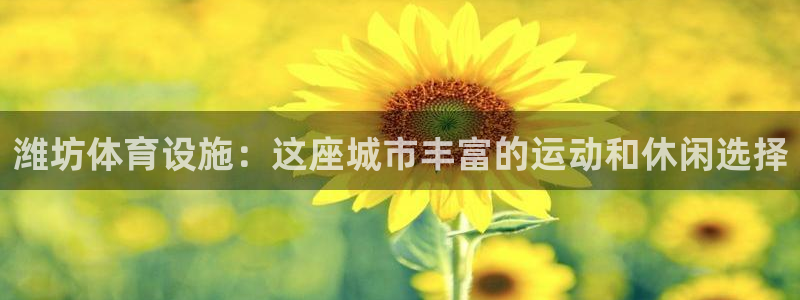 意昂体育3招商电话地址是多少：潍坊体育设施：这座城市