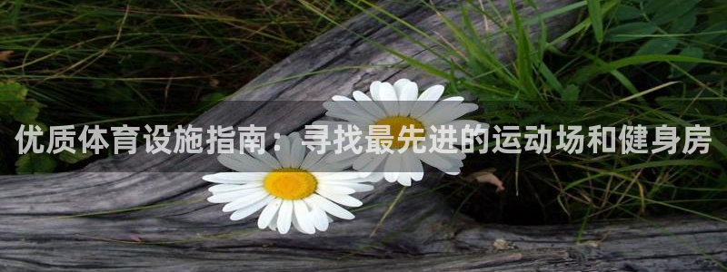 意昂3神州：优质体育设施指南：寻找最先进的运动场和健