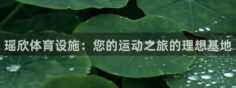 意昂体育3招商电话是多少：瑶欣体育设施：您的运动之旅